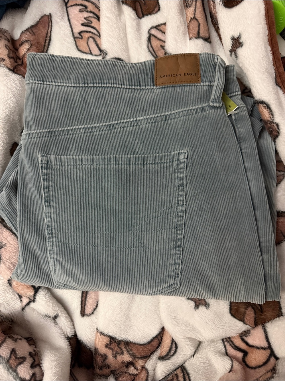 American Eagle Outfitters Straight Leg Corduroy Pants in Light Bluish Gray